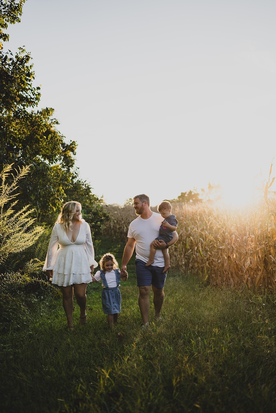 carousel-hero-element image-2