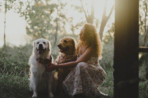 carousel-hero-element image-3