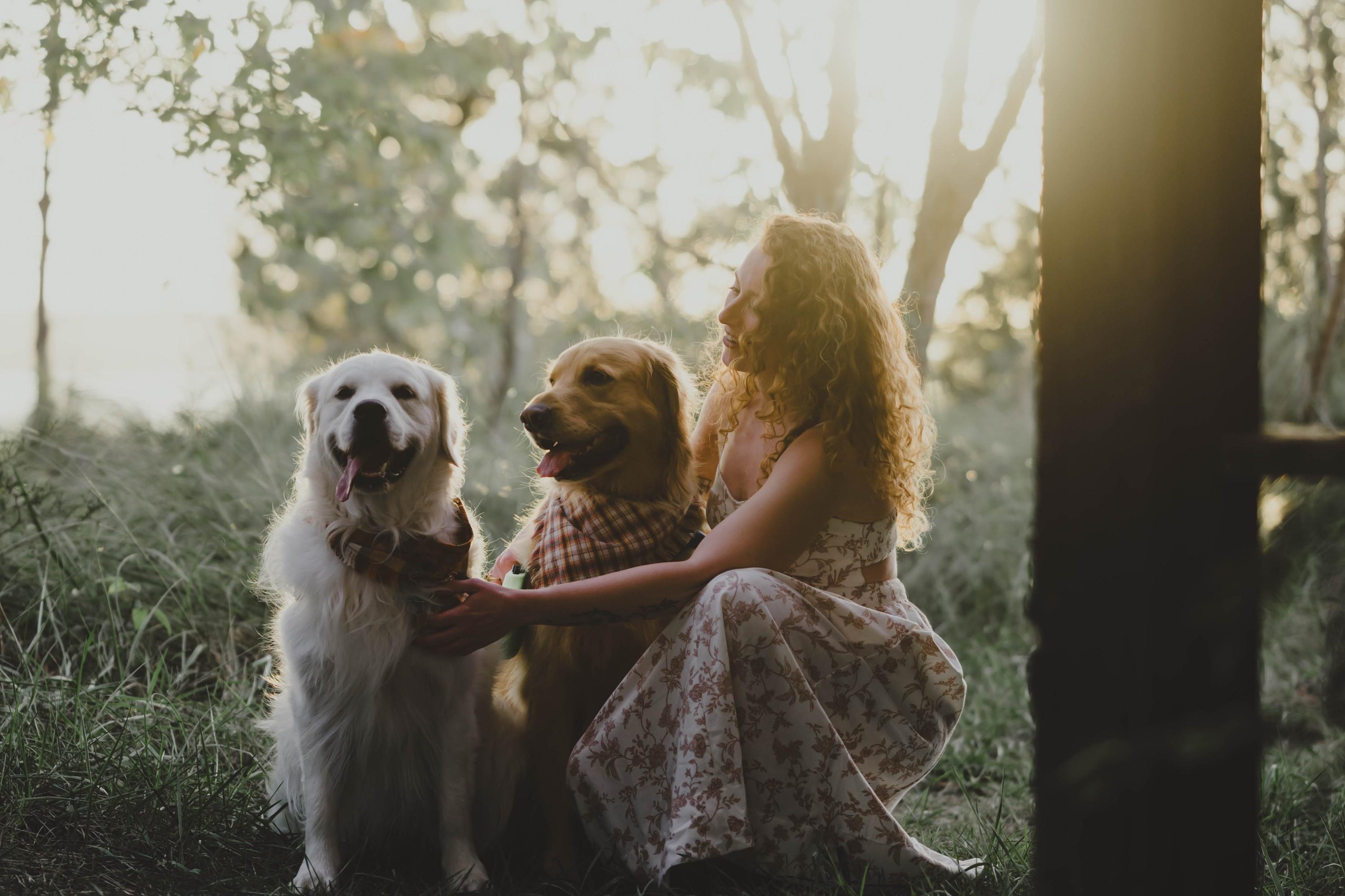 carousel-hero-element image-3